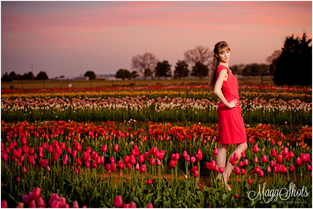 Senior Session at the Texas Tulip Fields - Texas Tulips