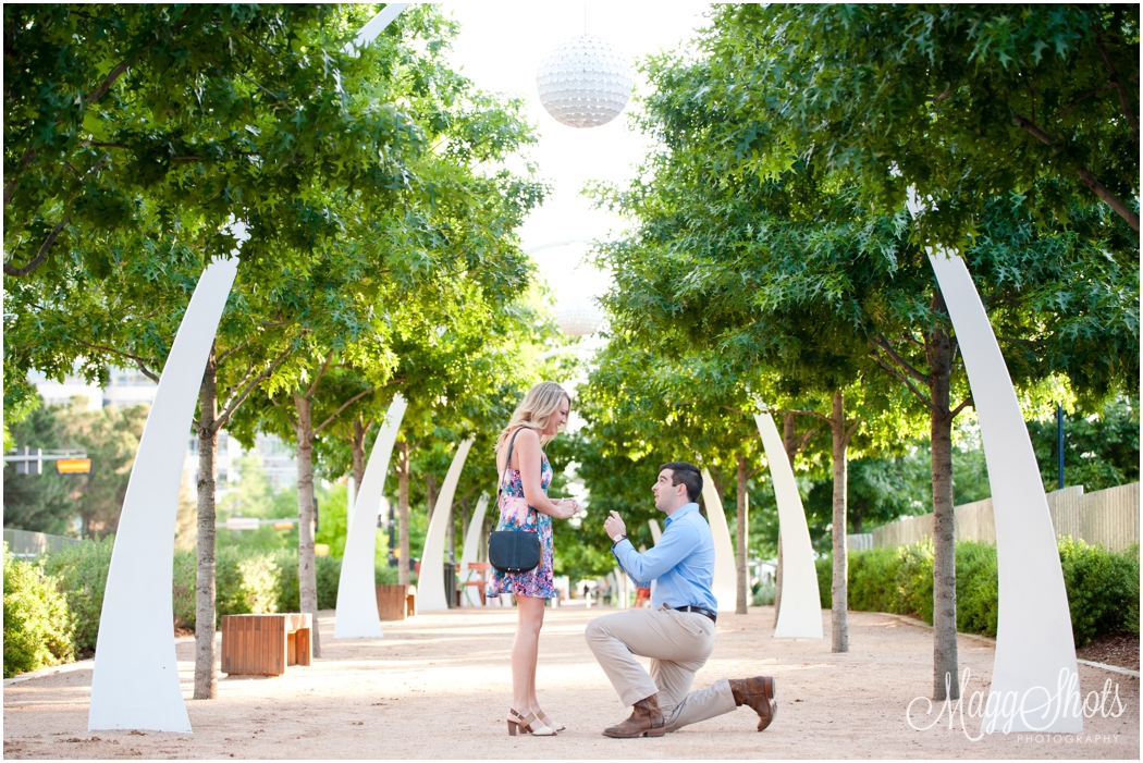 Proposal at Klyde Warren Park in Dallas Texas