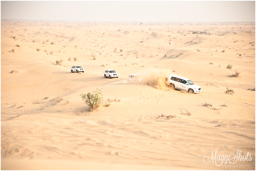 Dubai Trip | Travel Blog | Desert