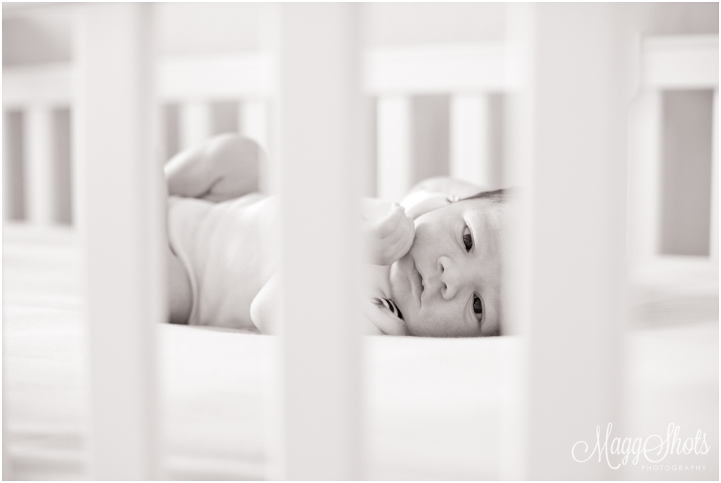 Newborn portrait session, baby portraits, MaggShots Photography