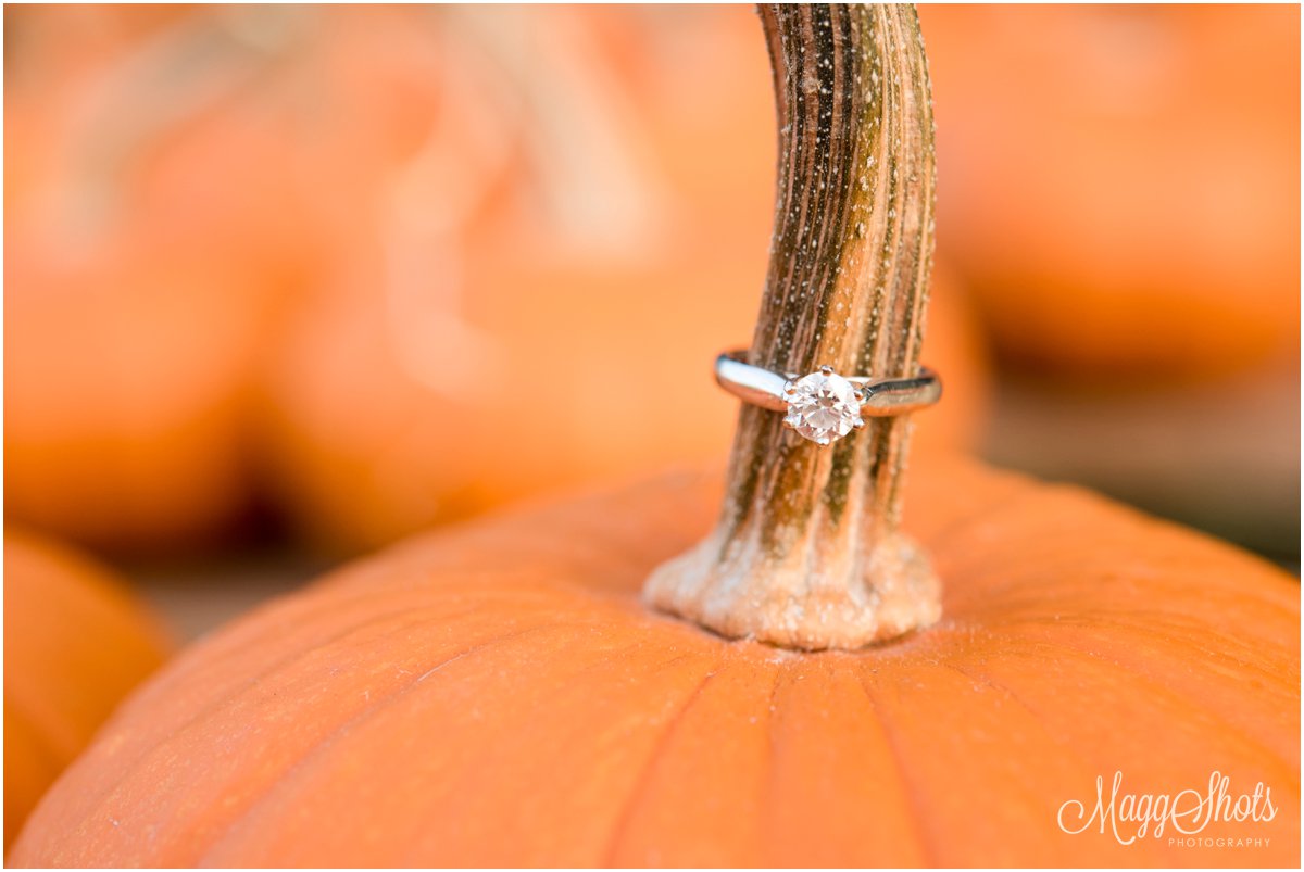 Ring shot on pumpkin, Engagements Session at Grapevine Botanical Gardens, DFW Wedding Photographer, MaggShots Photography,