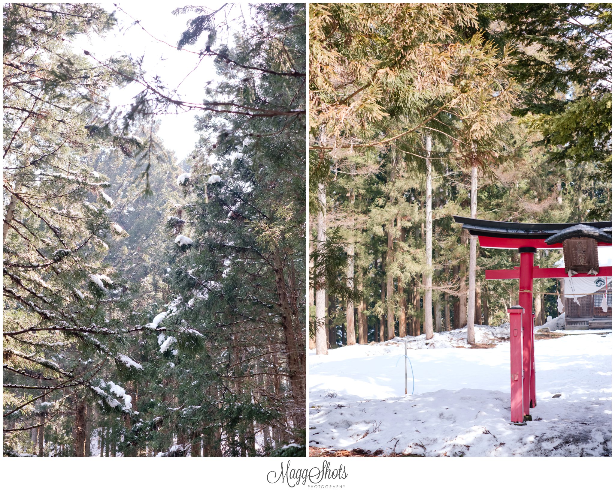 Japan, Japan travel, Japan Photographer, tokyo photographer, osaka, nagano, snow monkeys