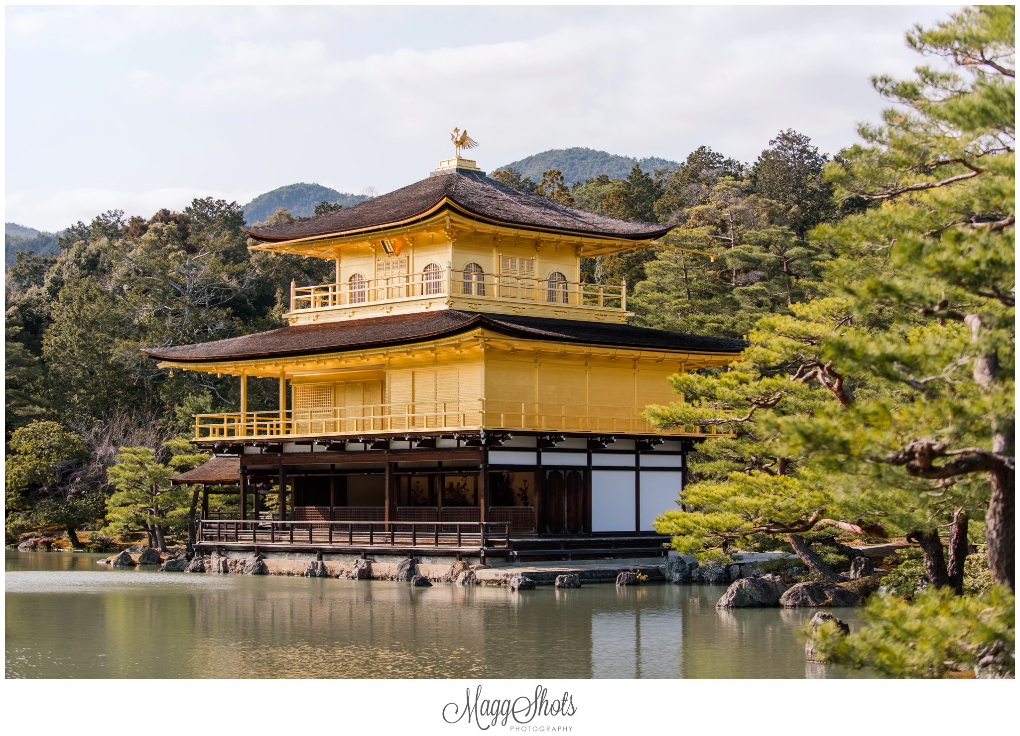 Japan, Japan travel, Japan Photographer, tokyo photographer, osaka, nagano, snow monkeys, kyoto, bamboo forest, golden castle