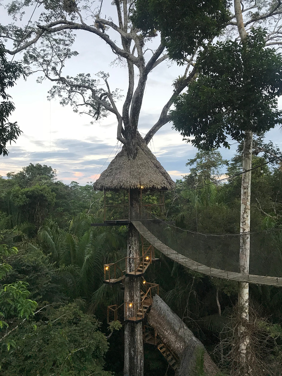 Treehouse Peru
