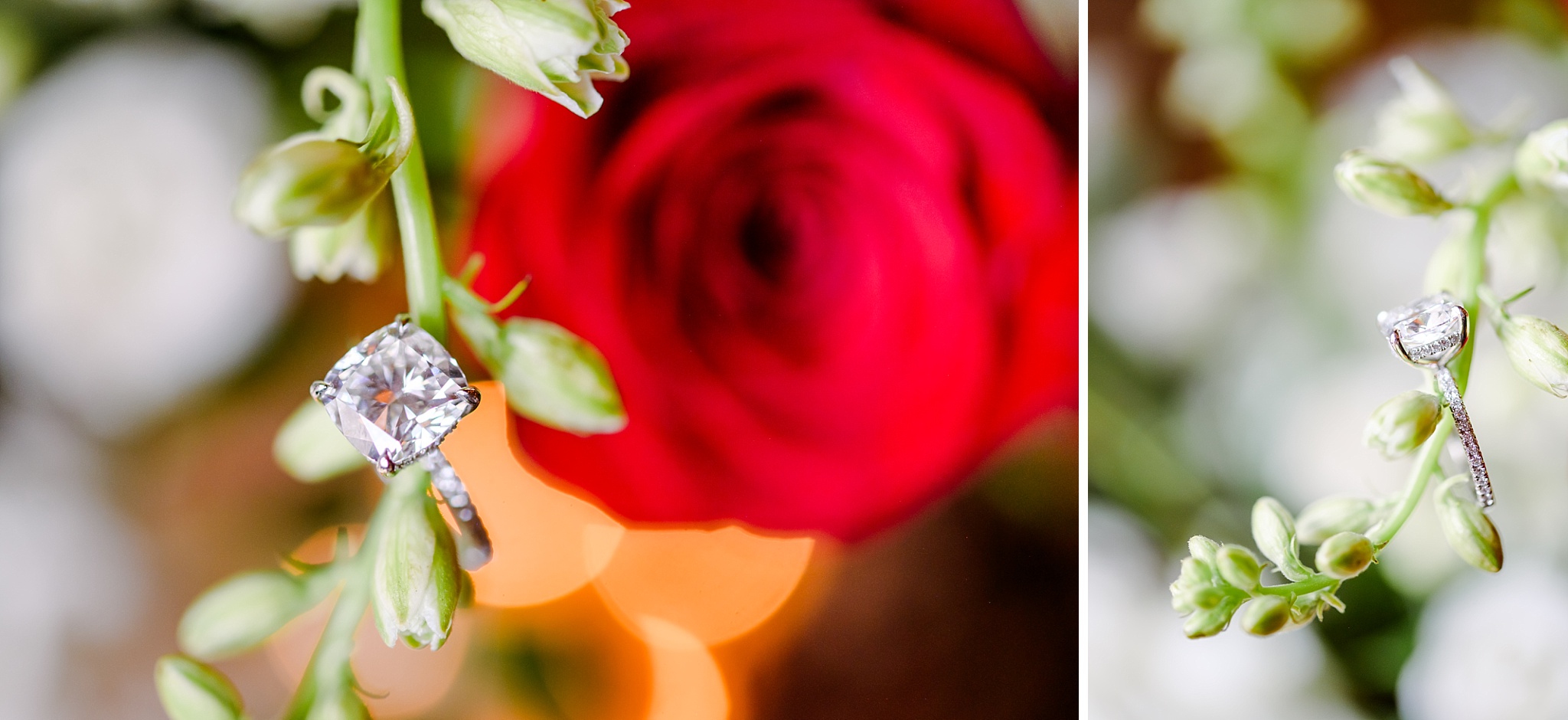 Proposal Ring in a Rose Photography